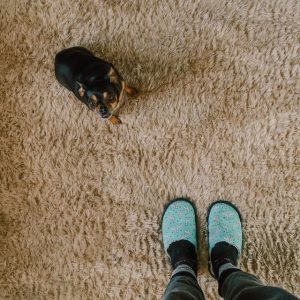 What Causes Brown Stains on Carpet